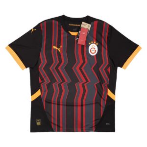 2024-25 Galatasaray SK 3a Equipacion